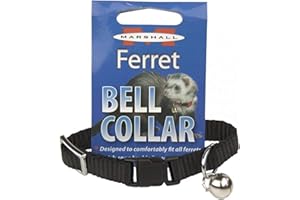 MARSHALL PET PRODUCTS Marshall Ferret Bell Collar – Black Adjustable Collar with Bell – Easy Snap Buckle – Fits All Ferrets – Helps Keep Track of Your Ferret’s Location Indoors