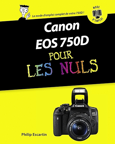 Download Canon EOS 750D Pas à pas Pour les Nuls PDF
