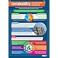 Sustainability | Design Technology Posters | Laminated Gloss Paper measuring 33” x 23.5” | Design and Technology Classroom Posters | Education Charts by Daydream Education