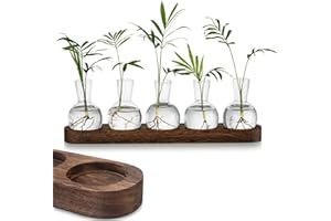 FUNNTY Desktop Plant Propagation,with Wooden Stand Glass Vase Hydroponic Planter Gifts Terrarium for Plant Lovers Indoor Home