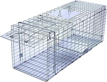 Amazon Com Trapro Large Collapsible Humane Live Animal Cage Trap