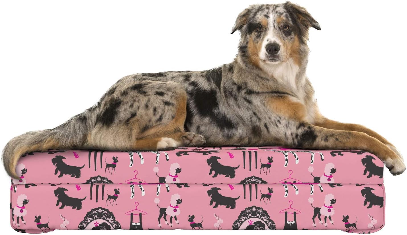 girly dog beds