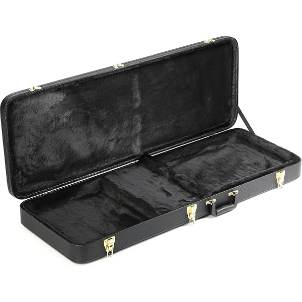 Amazon.com - Ibanez Hardshell Acoustic Case AEL, EW Series Guitars