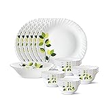 Borosil Gourmet Dinnerware Set For 6, 19