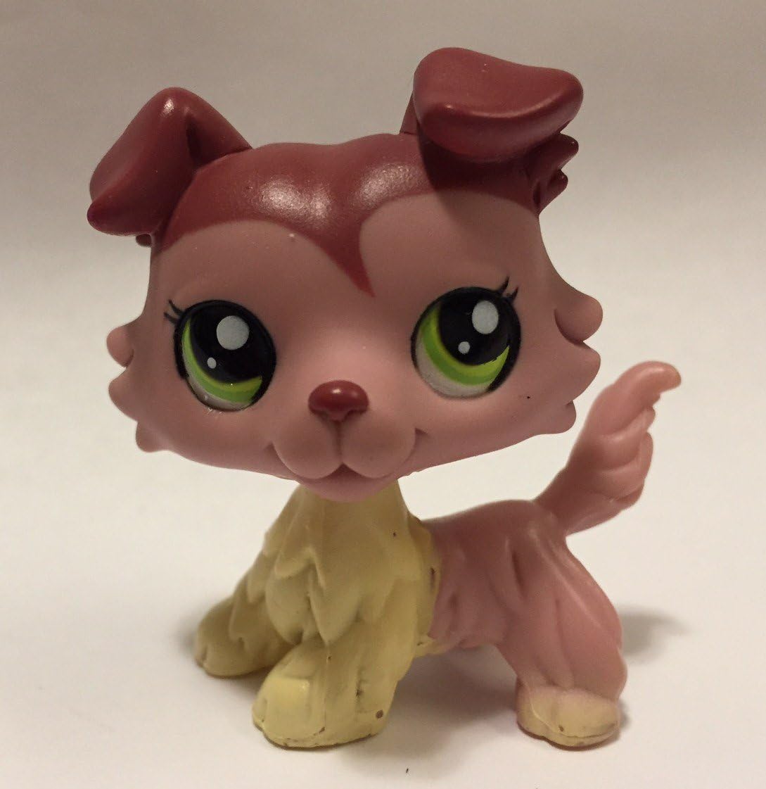 lps collie amazon