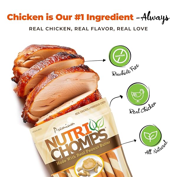NUTRICHOMPS DOG CHEWS 5-INCH TWISTS, EASY TO DIGEST, RAWHIDE-FREE DOG TREATS, 10 COUNT, REAL PEANUT BUTTER FLAVOR (PACKAGING MAY VARY)