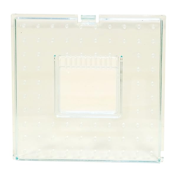 CATIT NIBBLY GRILSS SCALLOP 1OZ