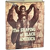 The Shaping of Black America