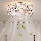 MOBEYU 12.5" Caged Ceiling Fans with Lights，Flush