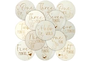 CORODER Winnie Baby Monthly Milestone Marker Discs Baby Announcement Sign Newborn Sign For Photo Prop Baby Shower Nursery Gift（16PCS）