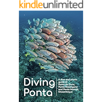 Diving Ponta: A dive and photo guide of Ponta do Ouro, Ponta Malongane and Ponta Mamoli, Mozambique book cover