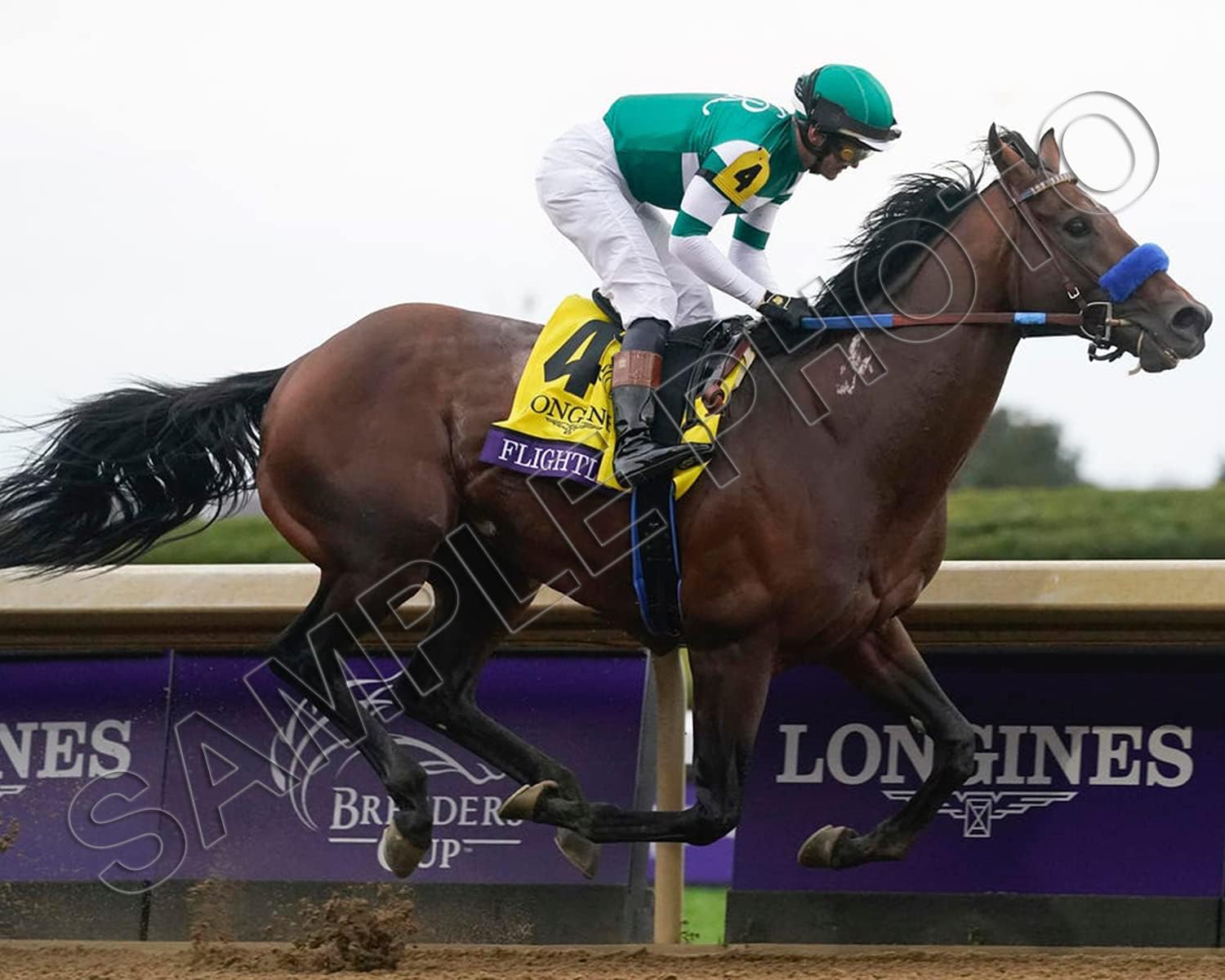 Photographs - SPORTSPHOTOSUSA Flightline 2022 Breeders Cup Classic Champion 8X10 Photo Flavien Prat Up