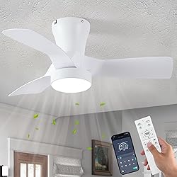Dalouguan 31 inch Low Profile Ceiling Fans with