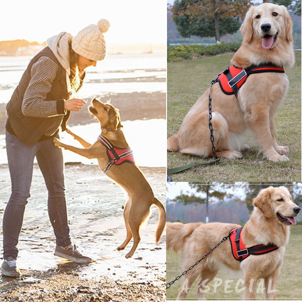 Dog Harness No Pull Harness Pet Padded Vest Adjustable Reflective Comfort Control for Large Dogs in Training Walking - No More Pulling Tugging or Choking (XXL, Red)