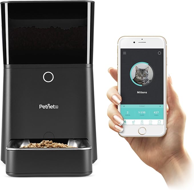 Best Automatic Cat Feeder 2020 List Of Feeders That Doesn T Suck