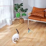 FYNIGO Cat Toys Indoor Interactive Wand Teaser 3 Wands 9 Refills 2 Hooks view 5