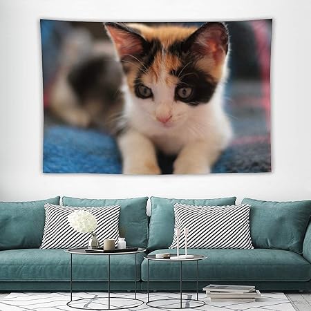 Amazon Co Jp 動物 子猫 可愛い 癒し タペストリー 可愛い 壁飾り 無臭無味 快適 インテリア 高級ポリエステル 耐久 多功能 間仕切り カーテン プレンセント 新居祝い ヨガマット適用 お店適用 ５サイズ Generic