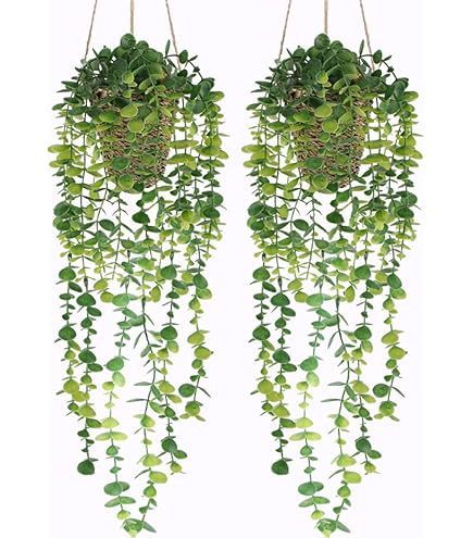 indoor plant stands with grow lights 4 Tier Grow Light Garden with Storage