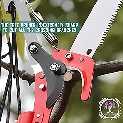 LETYANGER Pole Saws for Tree Trimming, 7.3-27 ft
