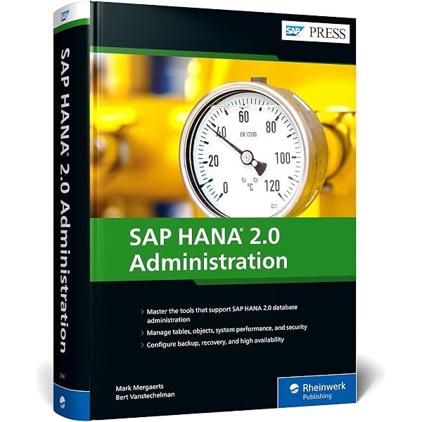 Amazon.com: SAP HANA 2.0: An Introduction (SAP PRESS