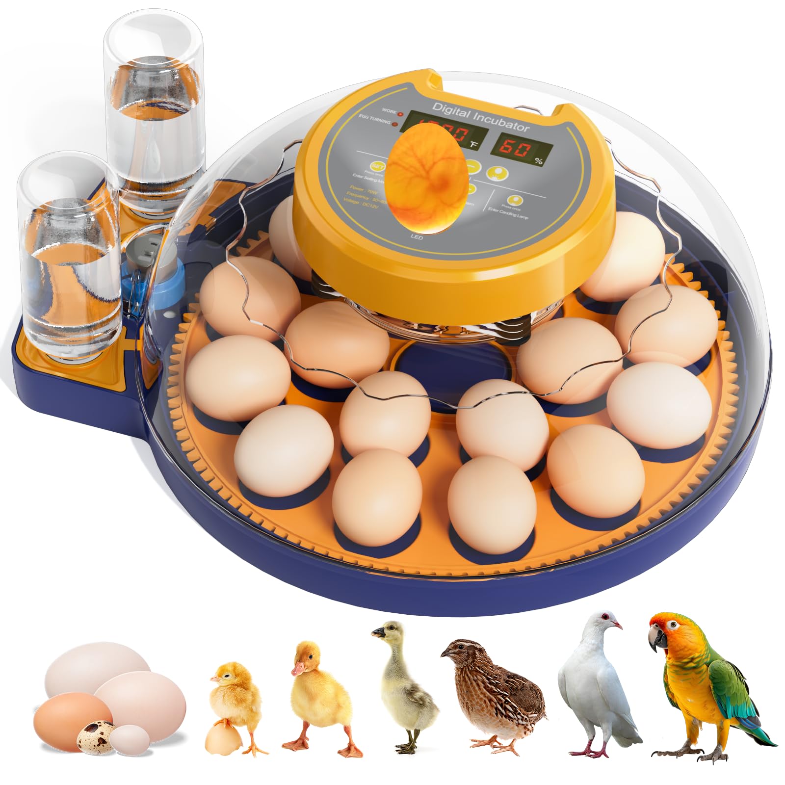 Photo 1 of 18 Egg Incubator for Hatching Eggs, Chicken Incubator with Automatic Turner, Digital Temperature Control & Humidity Display, Built-in Egg Candler, for Hatching Chicken, Duck, Goose, Home, School Use