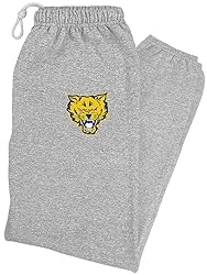 LOGOVISION Fort Valley State University Primary