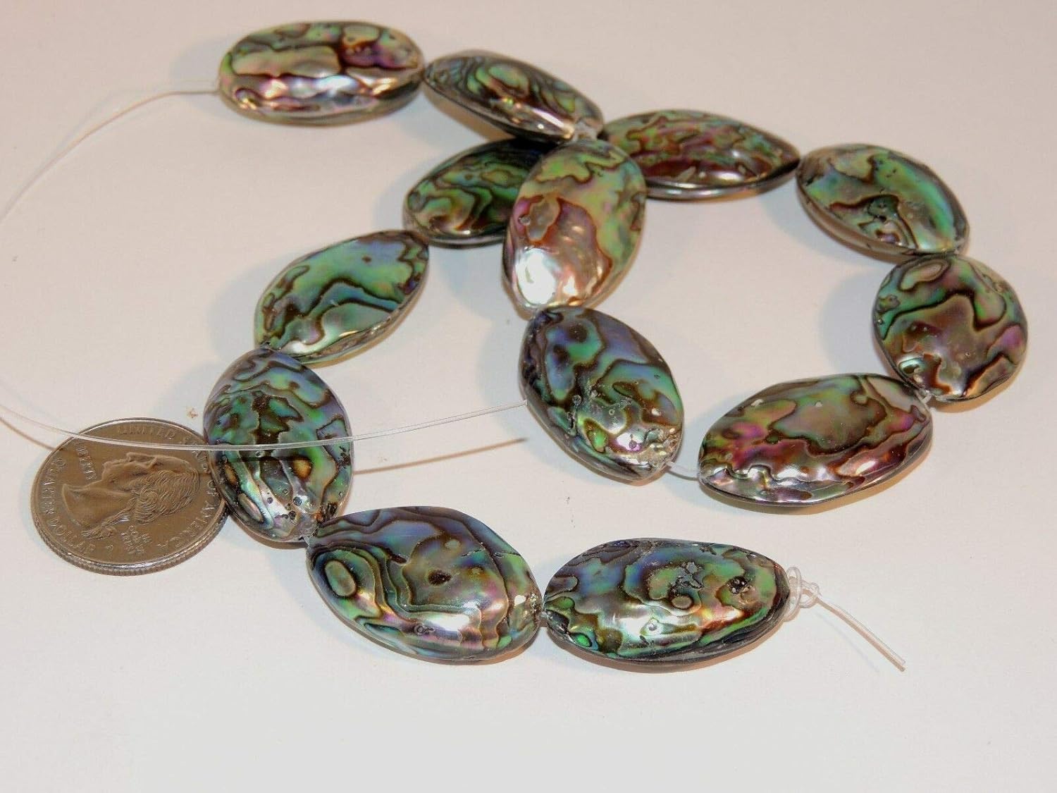 Paua Abalone Shell Beads New Zealand 14 Piece Strand DWK594 Arts, Crafts & Sewing