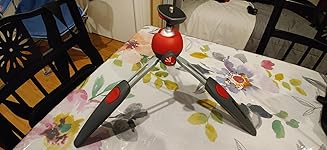 Review Image by Glenn Hoffman Sinclair