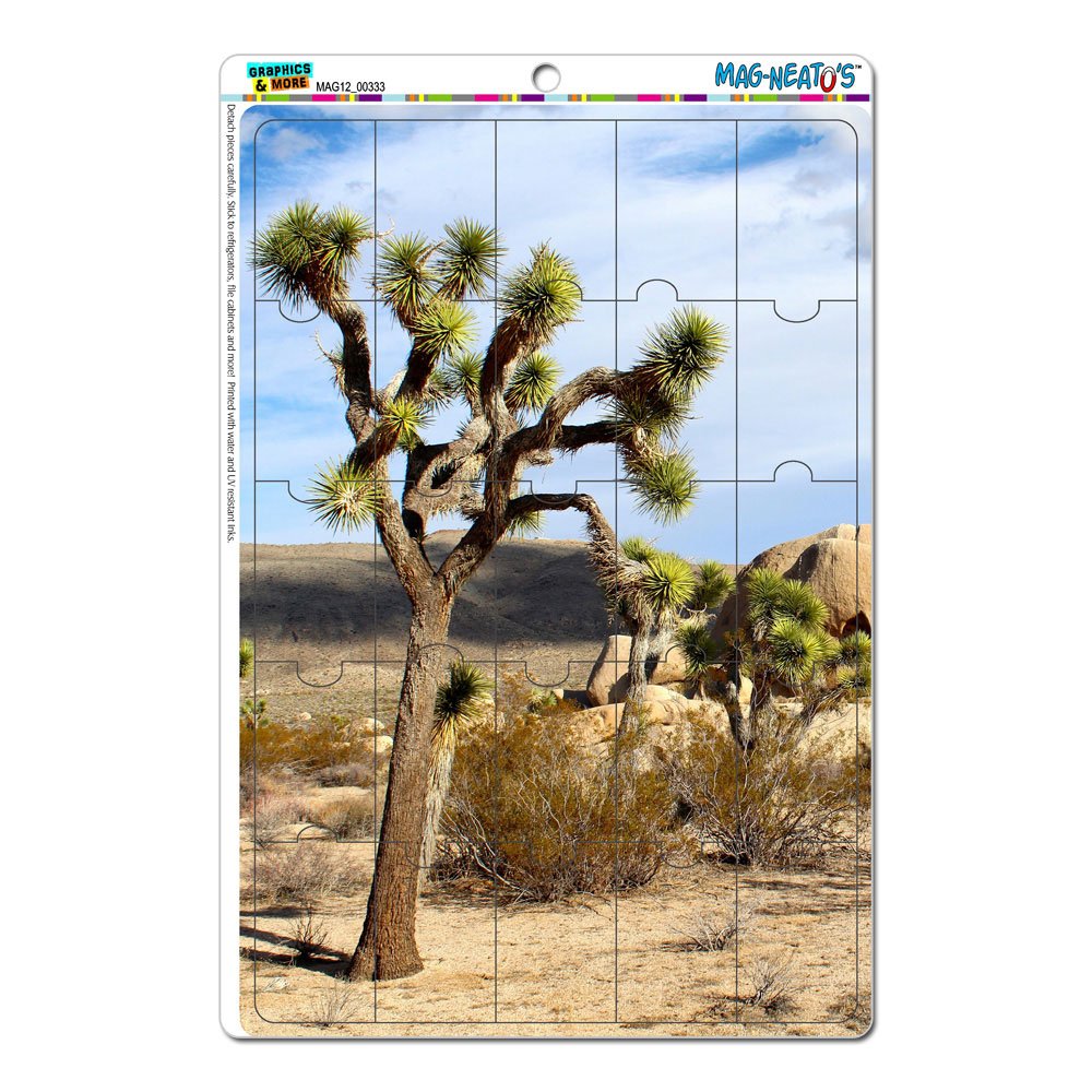 Which Is The Best Small Desert Refrigerator Magnet Set