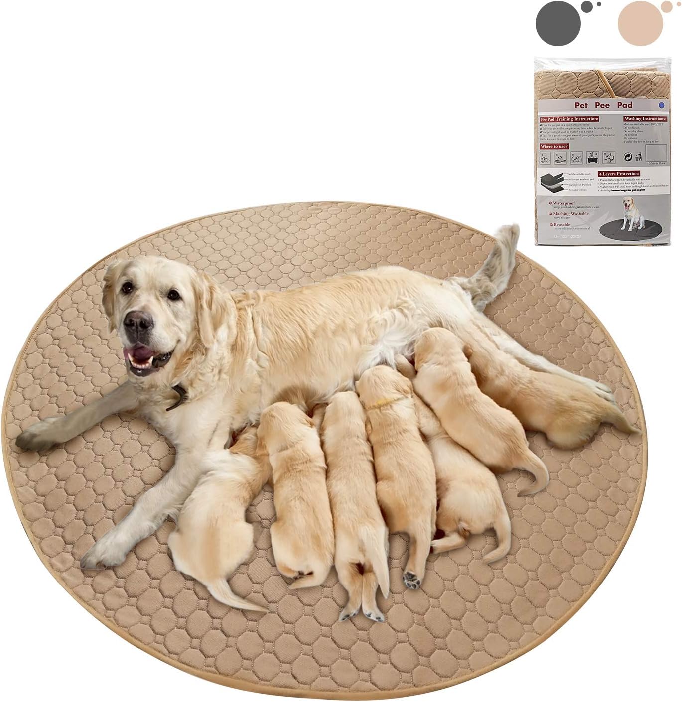 cat crates with litter box