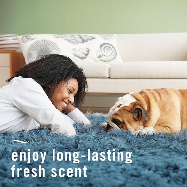FEBREZE FABRIC SPRAY AIR FRESHENER, ODOR-FIGHTING FABRIC REFRESHER, SNEAKER BALLS ALTERNATIVE, COUCH CLEANER, LINEN SPRAY, MULTI-USE, PET ODOR FIGHTER SCENT, 23.6 FL OZ