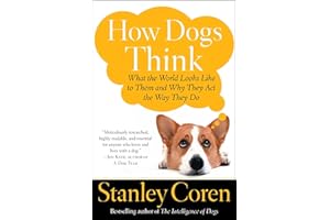 How Dogs Think: What the World Looks Like to Them and Why They Act the Way They Do