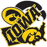Desert Cactus University of Iowa Sticker Hawkeyes Sticker Vinyl Decals Laptop Water Bottle Car T2 (Type 2-2)