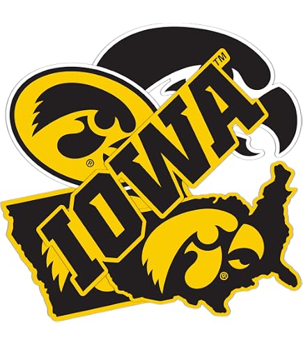 Desert Cactus University Of Iowa Sticker Sheet - Officially Licensed Hawkeyes Vinyl Decals For Laptop, Car