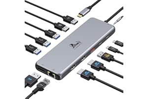 LIONWEI 13 in 1 USB C Docking Station - Dual Monitor, Triple Display, 8 USB C/A Ports, Ethernet, Audio - For MacBook, Dell, HP, Lenovo, Surface