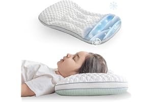 Reidio Toddler Pillows Double Sided Cooling Fabric & Breathable Mesh Kids Pillow Dual Heights Ergonomic Design Advanced Hose Filler Machine Washable (Blue Green, H1)