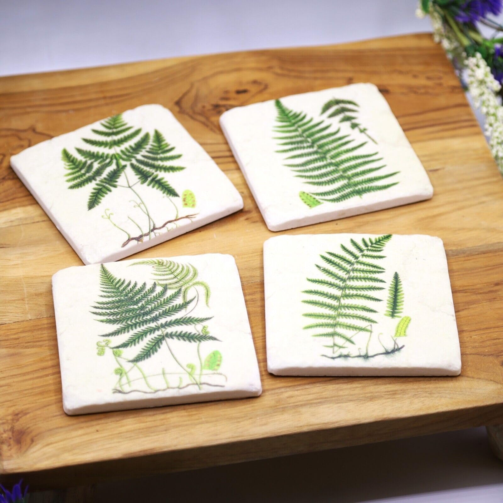 Ceramic Coasters Set of 4 Fern Botanical Cork Backed Decorative Cup Table Mats