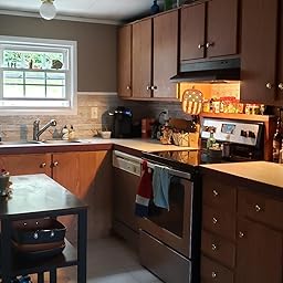 Insl X Cc550109a 01 Cabinet Coat Enamel Satin Sheen Paint 1 Gallon White Amazon Com