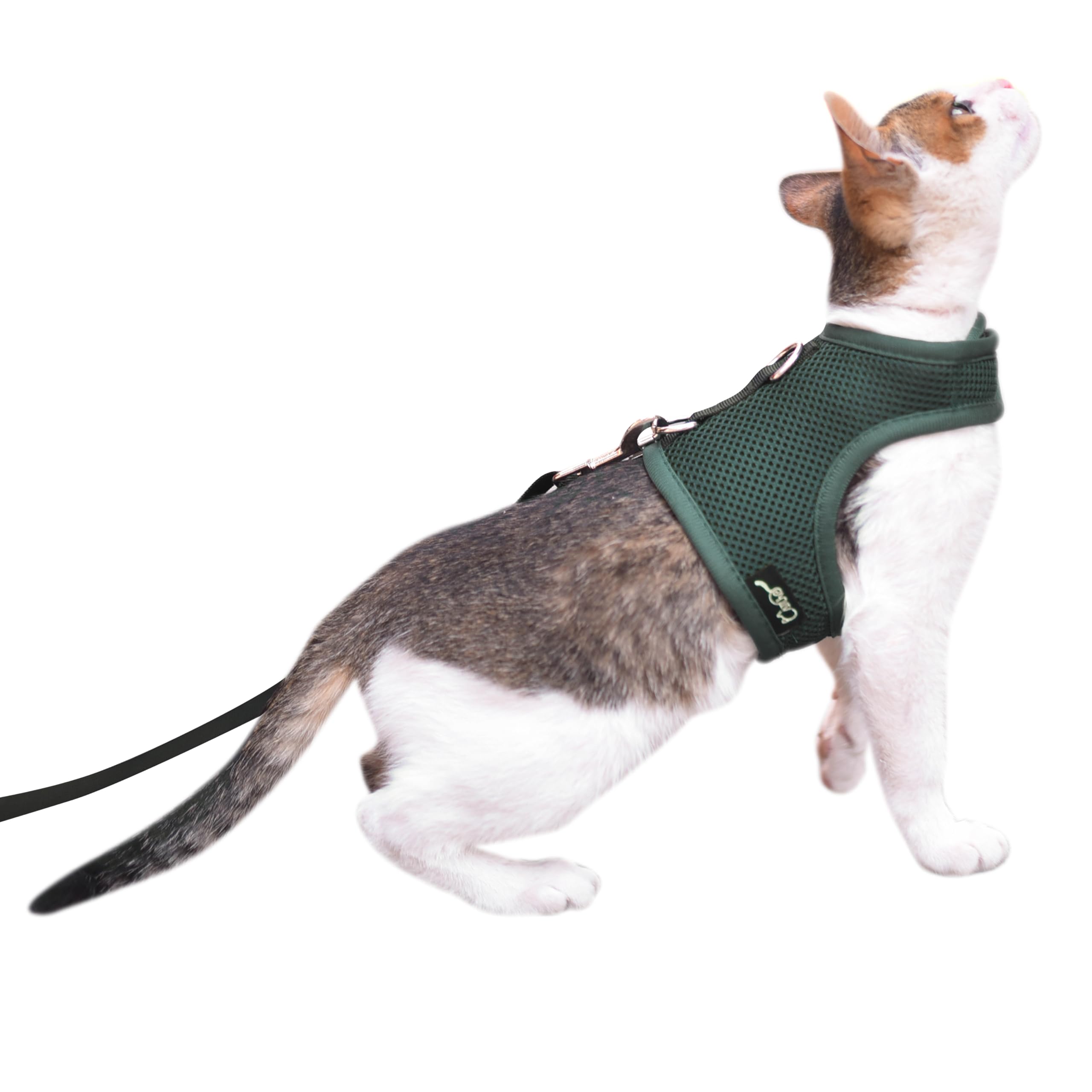 Photo 1 of Kitty Harness and Leash for Walking Escape Proof Breathable Mesh Fabric, Solid Green, Small, Adjustable Cat Walking Jackets, Padded Stylish Cat Vest