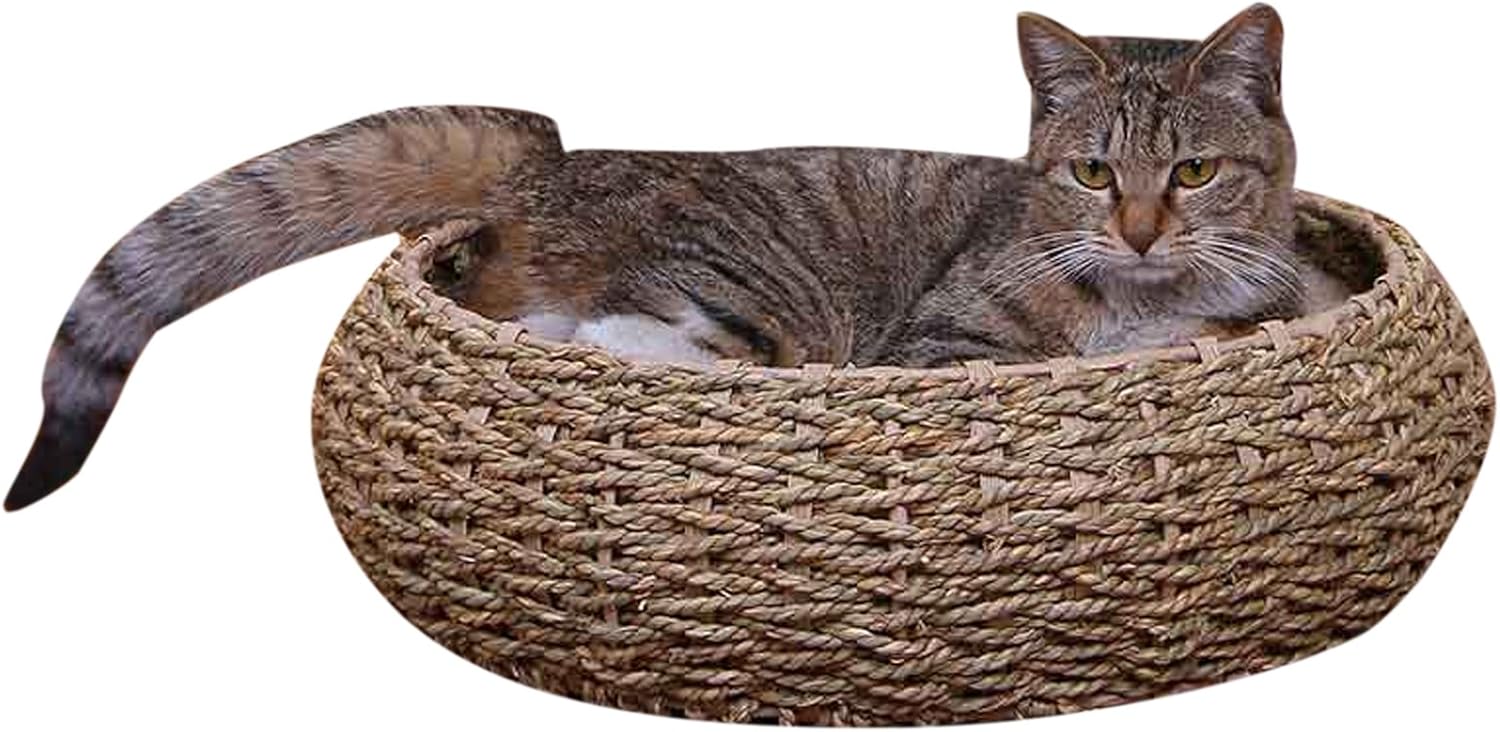 seagrass cat bed