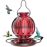 Glass Hummingbird Feeder for Outdoors Hanging, 26Oz