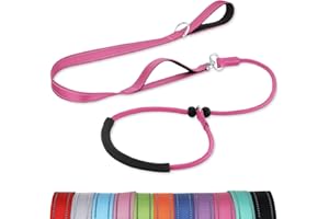 Aiyuda 6 FT Slip Leads for Dogs, Reflective Dog Lead with Padded Double Handle, No Tangle Dog Training Leashes for Small & Medium & Large Dogs, Hotpink