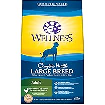 wellness complete health lamb