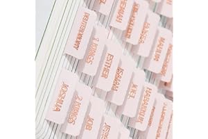BRYTEFY Laminated Bible Tabs (Gold Foil Stamped Lettering), Bible Journaling Supplies, Bible Book Tabs, Christian Gift, 66 Bible Tabs Old and New Testament, Including 24 Blank Tabs (Pink)