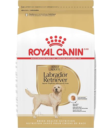 Amazon.com: Royal Canin Breed Health Nutrition Golden Retriever