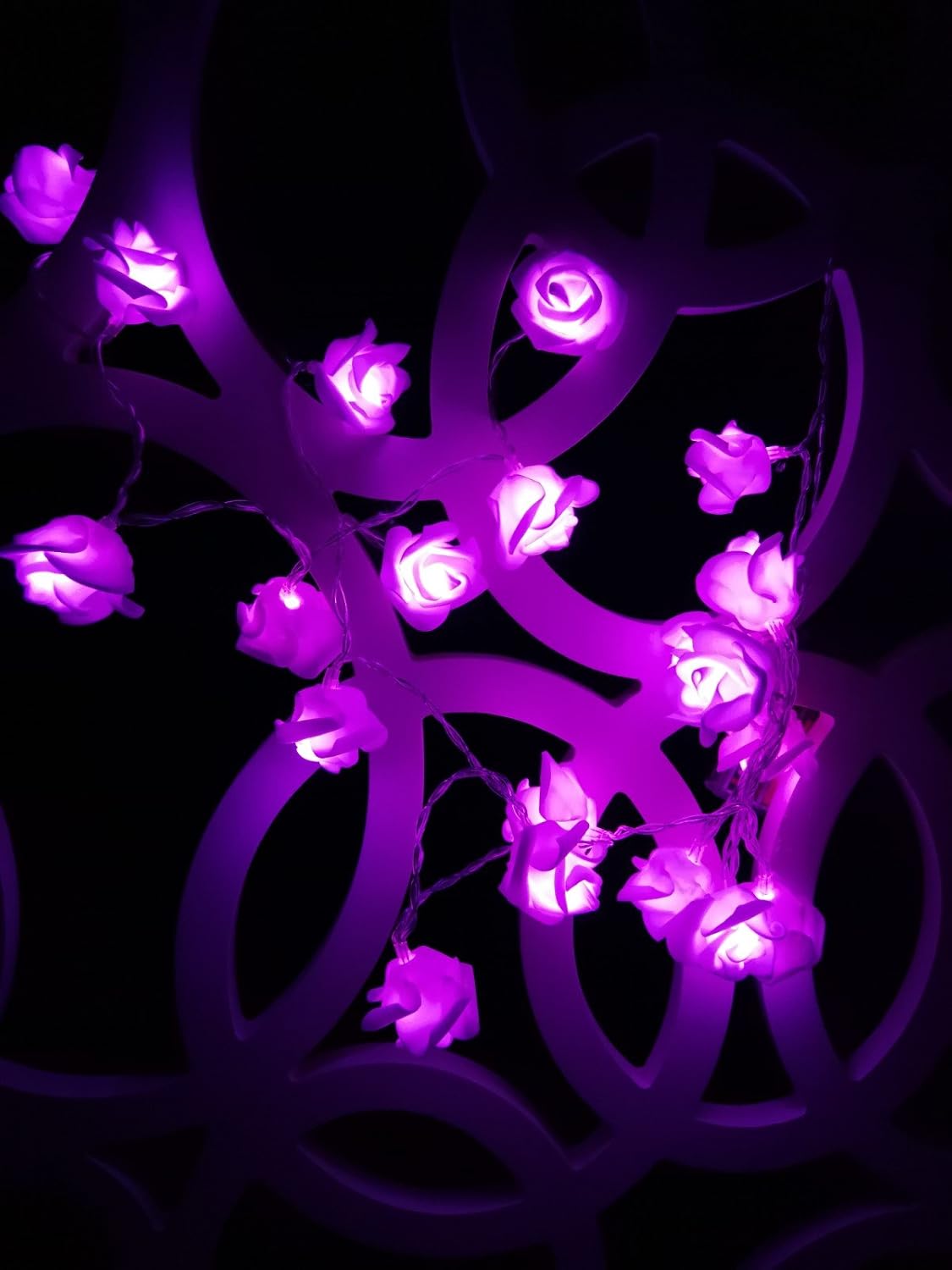 Fantasee LED Rose Flower String Lights Battery Operated - Image 5