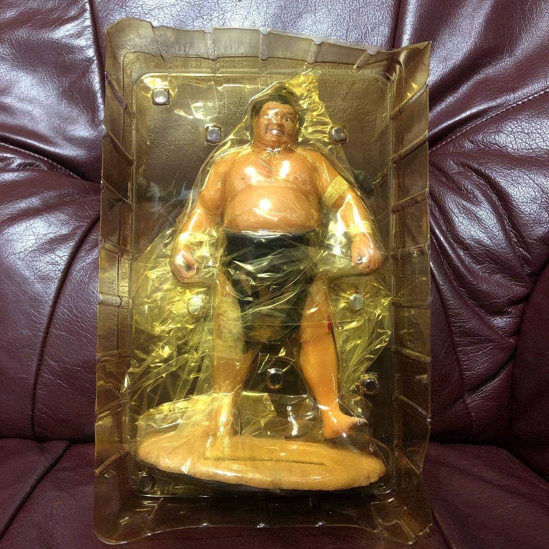 Amazon Co Jp 貴乃花 鬼の形相 フィギュア ホビー 通販