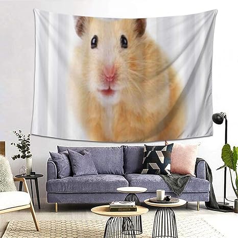 Amazon Co Jp Gukisala タペストリー サンタ帽子で美しいハムスター 多機能 毛布 おしゃれな壁掛け インテリア ファブリック装飾用品 モダンなアート 和風 壁掛け クールジャパン 家飾り ホーム キッチン