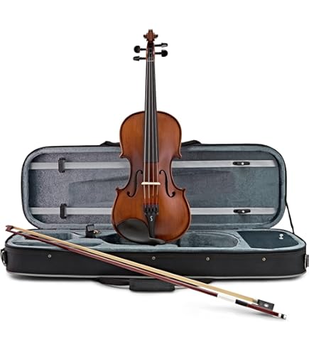 Amazon.com: Stentor 1560A Stentor Conservatoire II Violin, 4/4