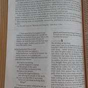 New Believer's Bible: First Steps for New Christians (New Living ...